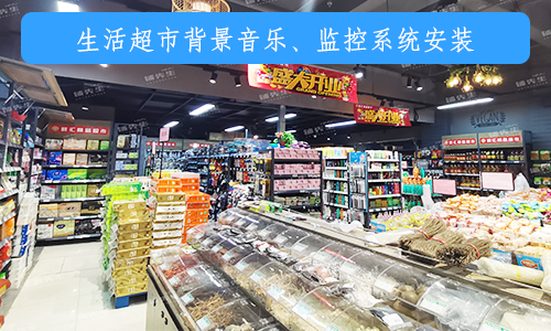 园区监控方案