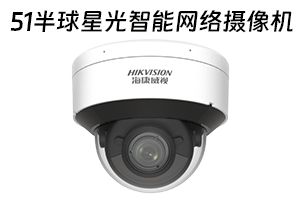 护罩型网络半球
